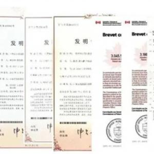 百龙创园