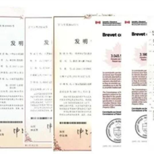 百龙创园