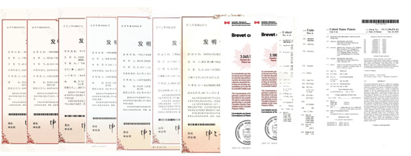 阿洛酮糖获批助力百龙创园迈向新征程 阿洛酮糖获批助力百龙创园迈向新征程